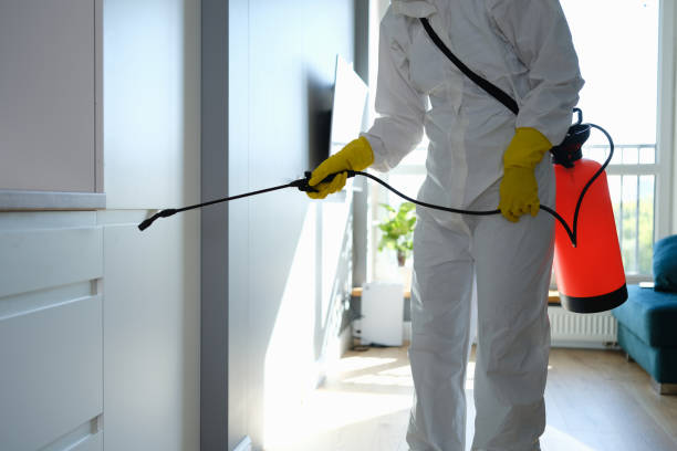Best Crawl Space Mold Removal  in Mont Clare, PA