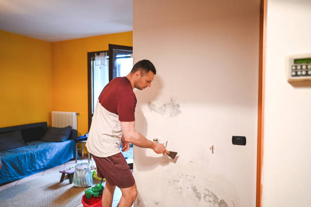 Mold Removal Process in Mont Clare, PA